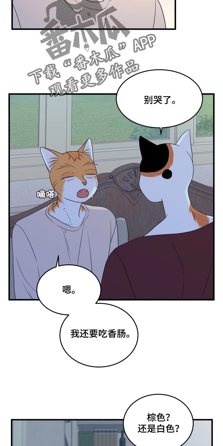 灵猫欧米伽是双男主吗漫画,第67话2图