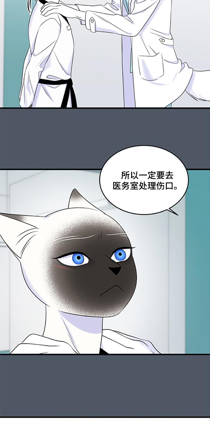 灵猫欧米伽漫画全集免费下拉式漫画,第77话2图