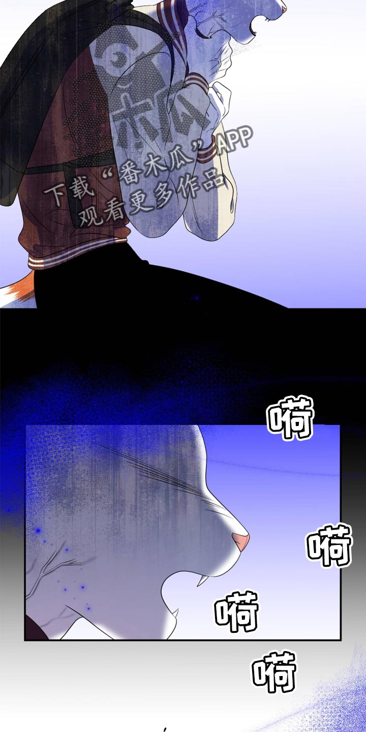 灵猫欧米伽漫画,第61话2图
