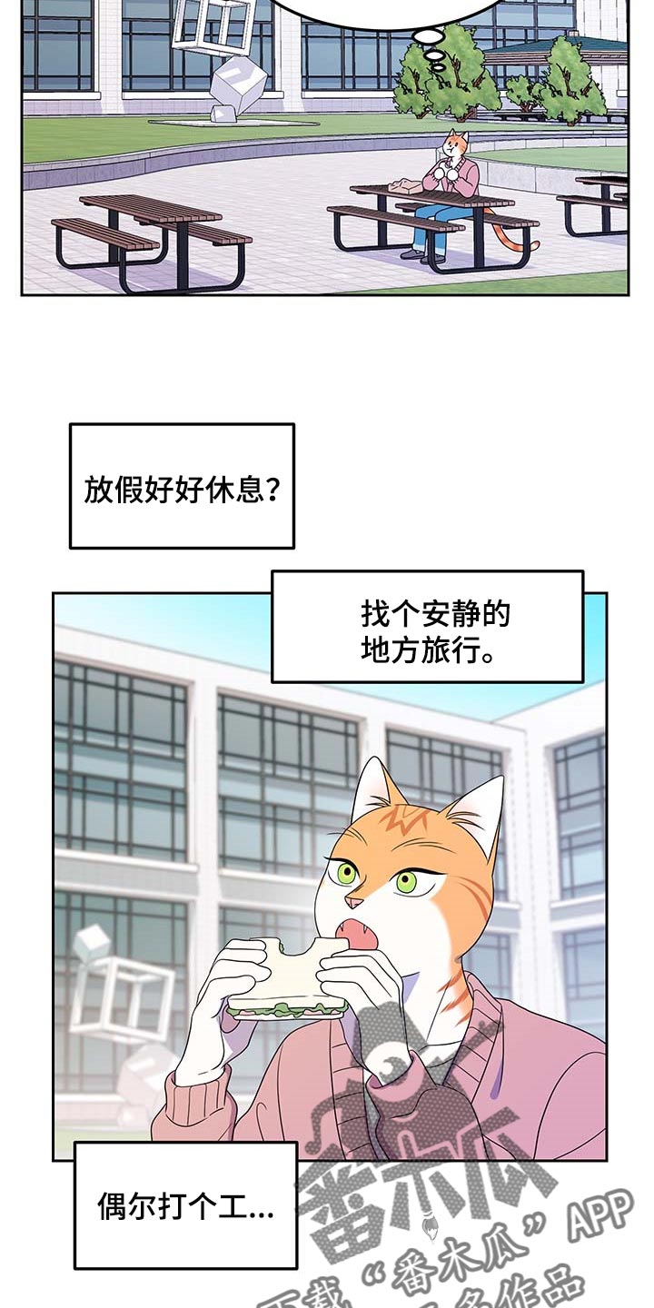 灵猫欧米伽什么时候更新第三季漫画,第41话2图