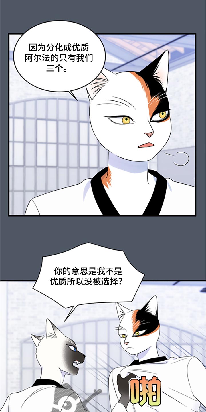 灵猫欧米茄画涯漫画,第77话1图