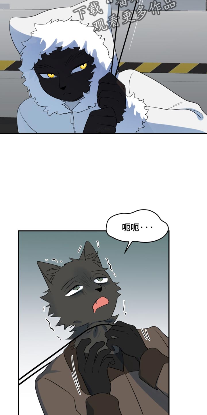 灵猫欧米伽漫画免费观看漫画,第143话1图