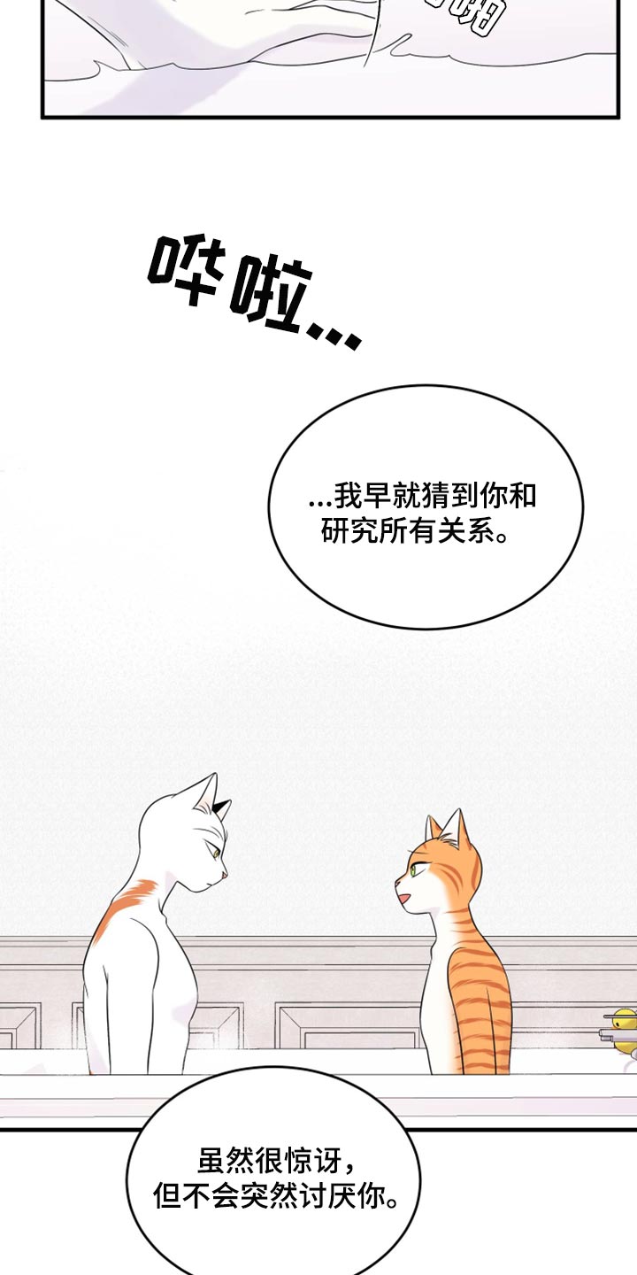 灵猫欧米伽免费阅读漫画,第71话2图