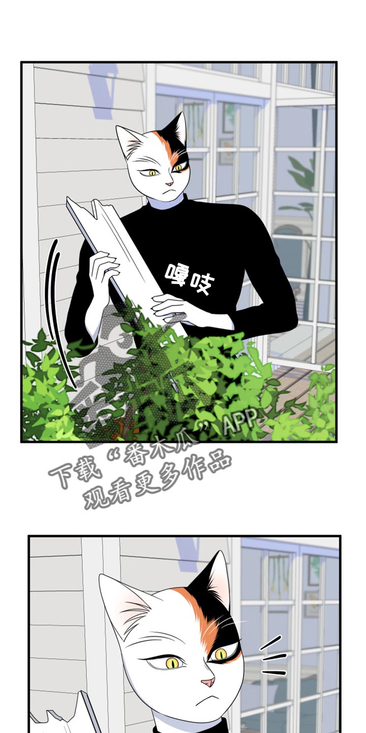 漫画灵猫欧米伽漫画,第90话1图