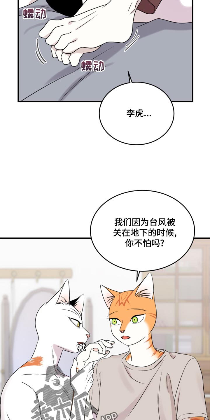 灵猫欧米伽第三季什么时候出漫画,第91话1图