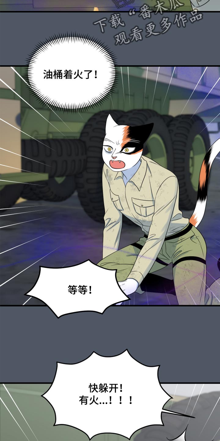 灵猫护塔漫画,第84话1图