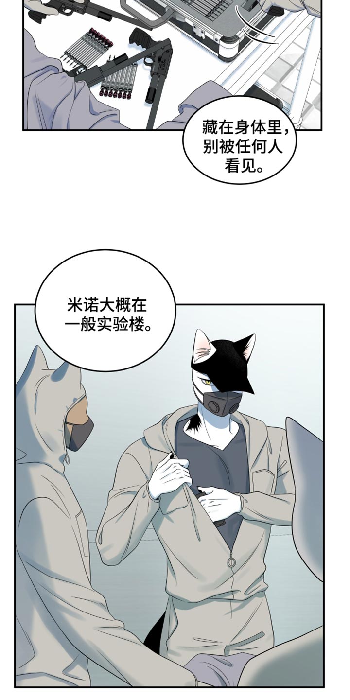 灵猫欧米伽双猫漫画,第124话2图