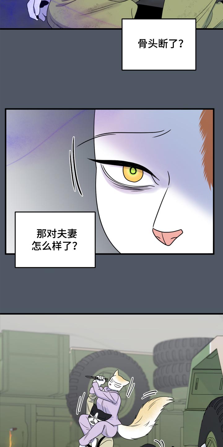 灵猫欧米伽漫画系列漫画,第84话1图