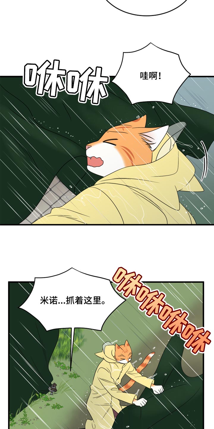 灵猫欧米伽又叫什么漫画,第88话2图