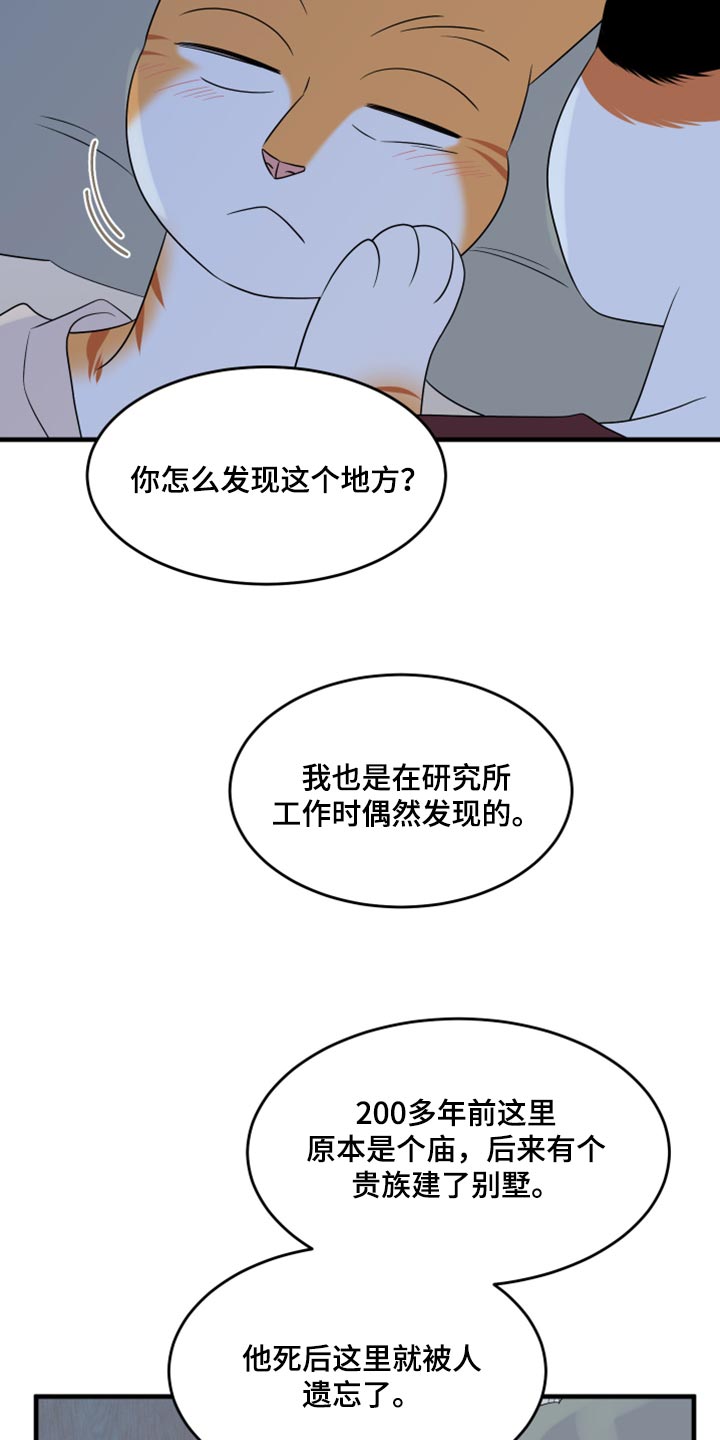 灵猫欧米伽高清漫画,第67话2图