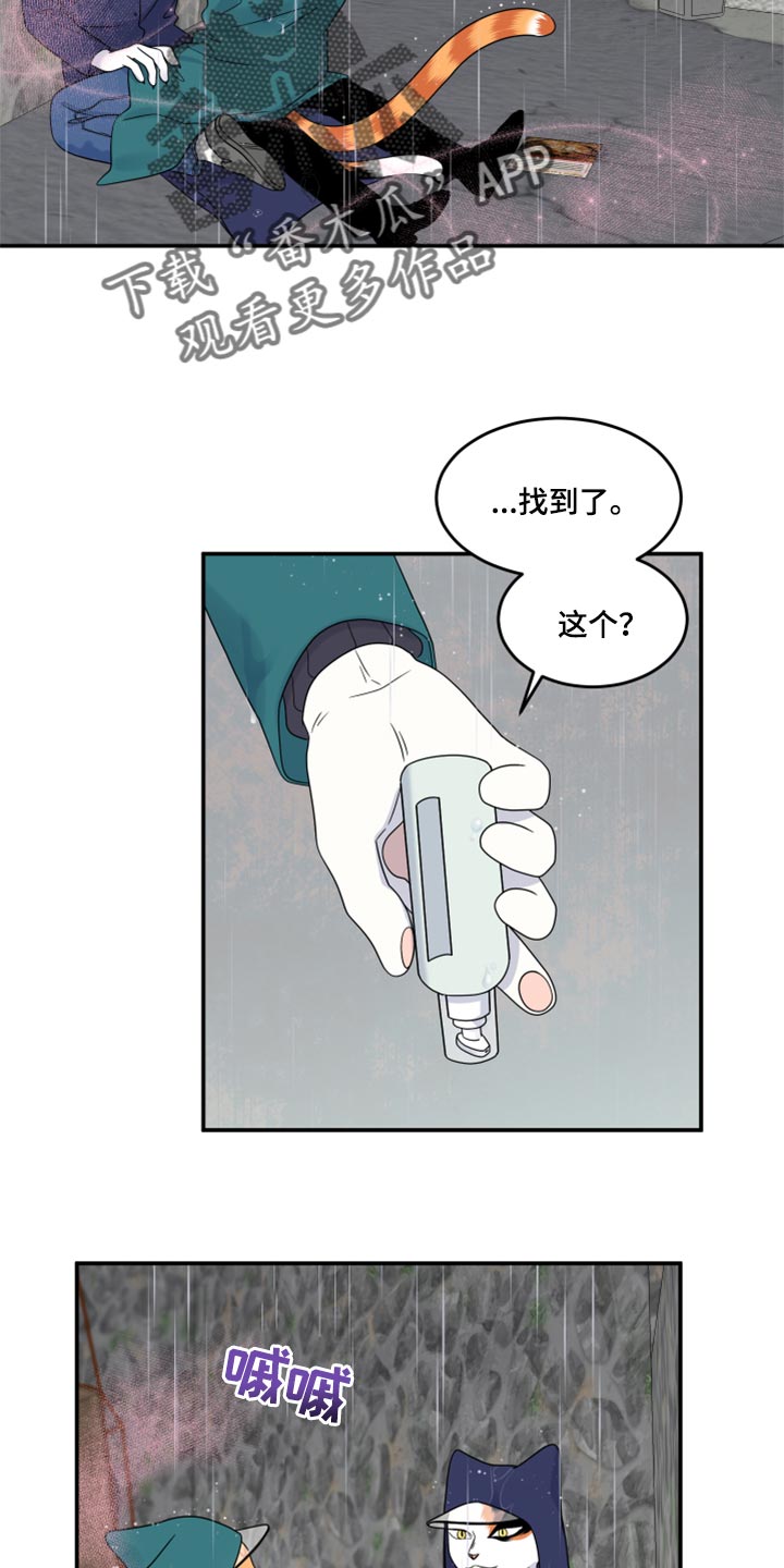 灵猫欧米伽漫画,第53话1图