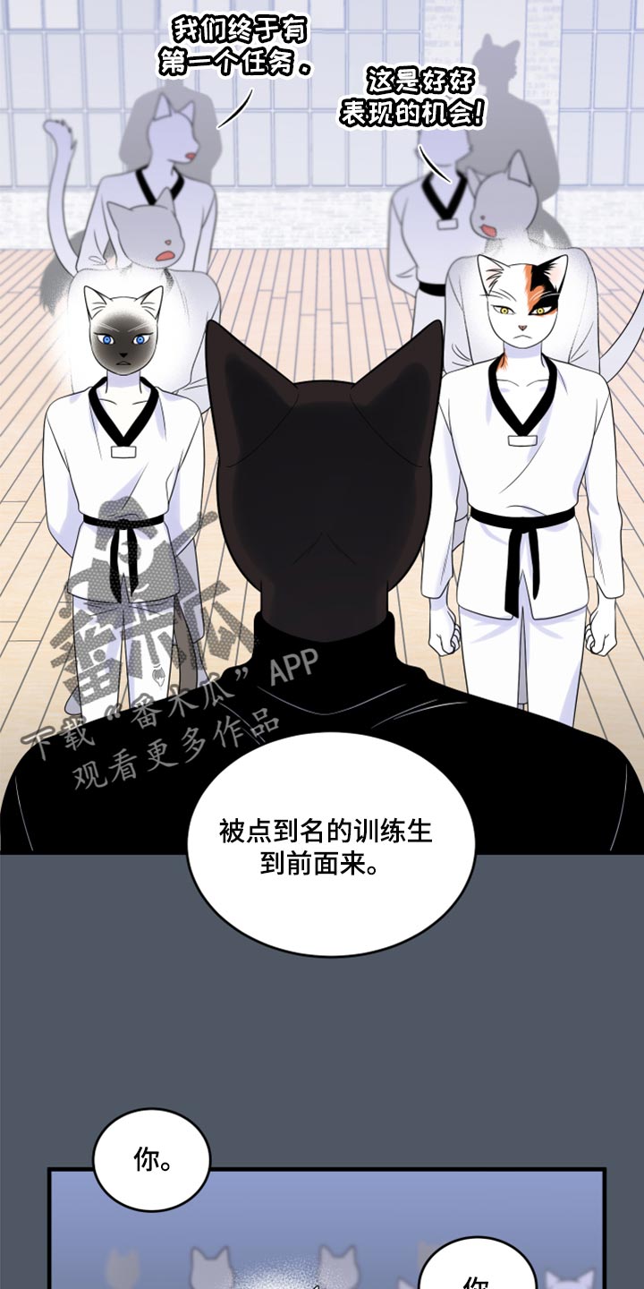 灵猫欧米伽高清漫画,第76话1图