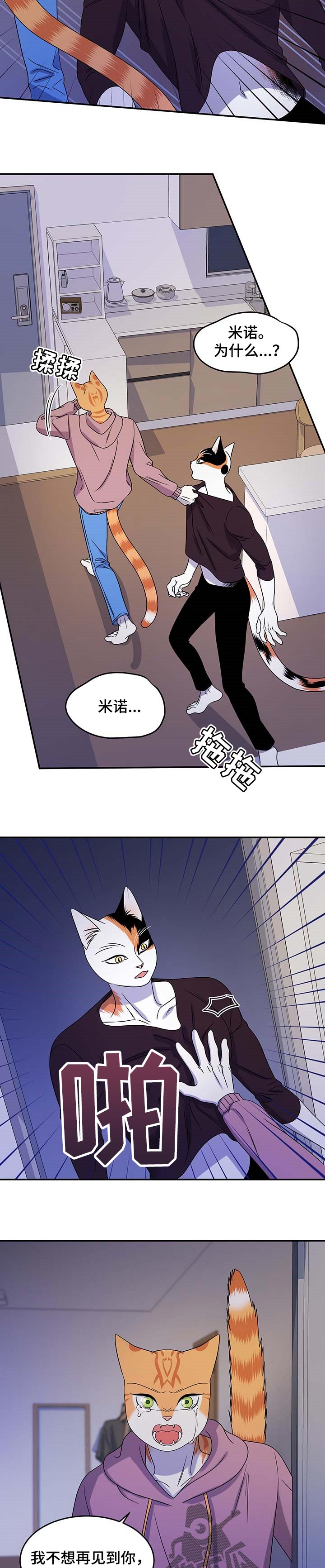 灵猫是什么动物漫画,第32话2图