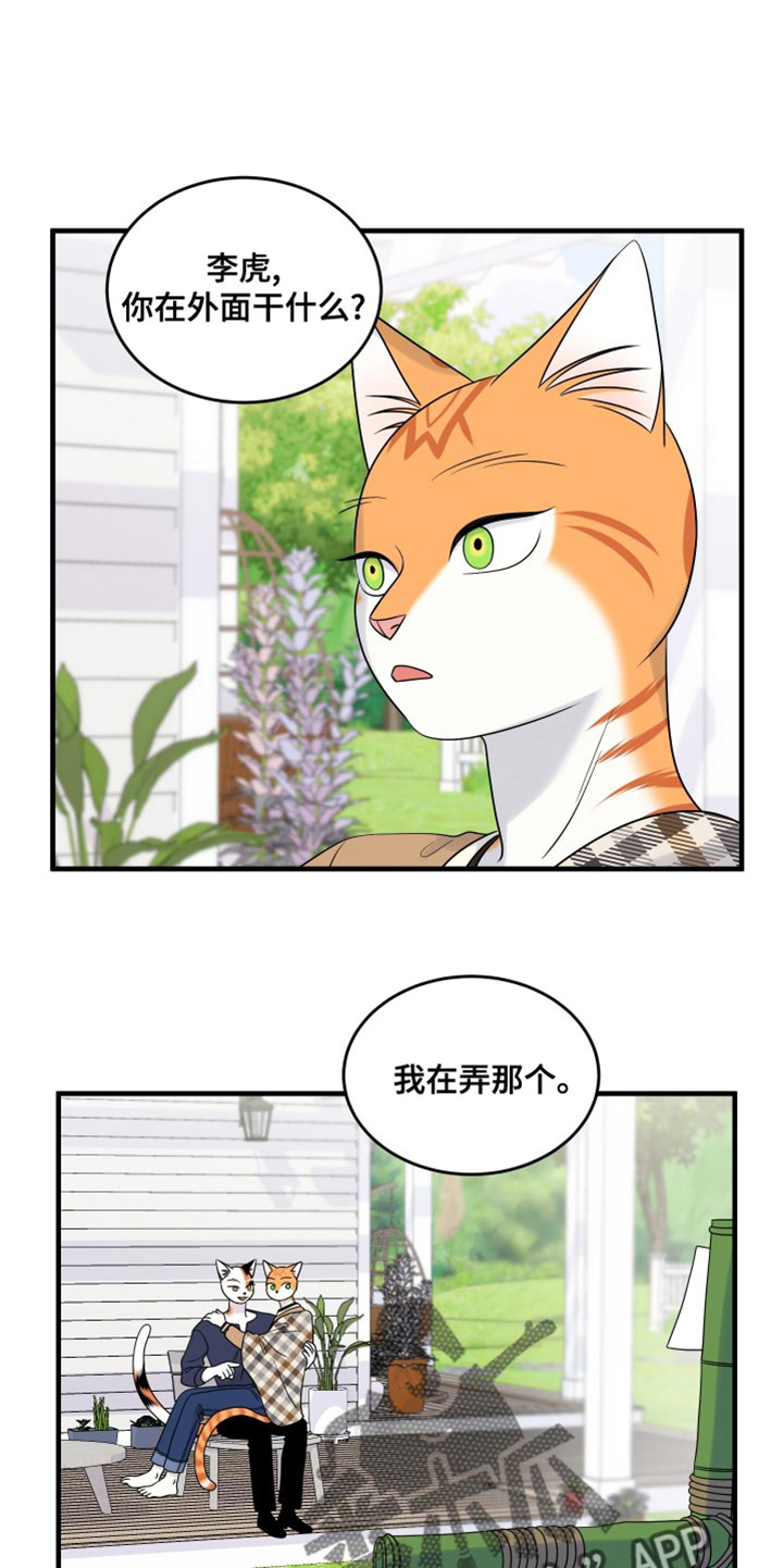 灵猫欧米伽是双男主吗漫画,第98话1图