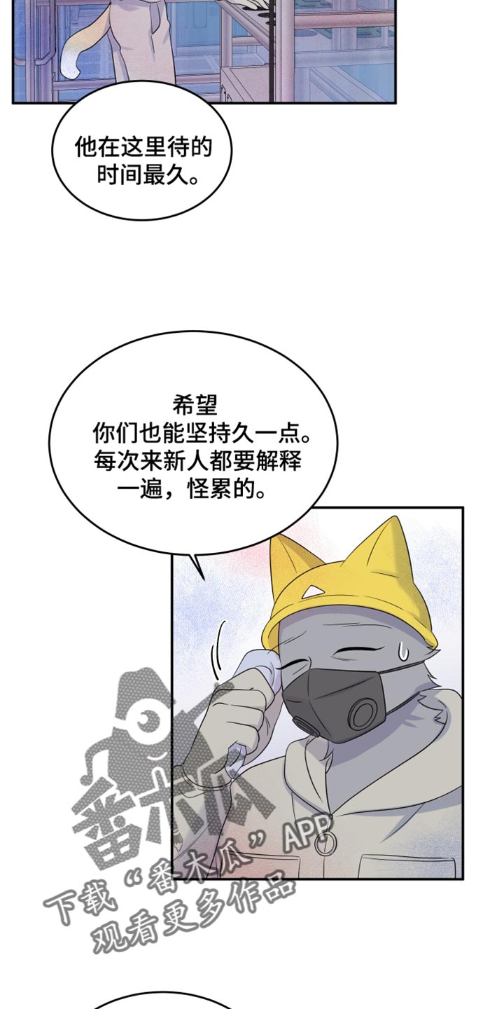 灵猫是什么动物漫画,第123话2图