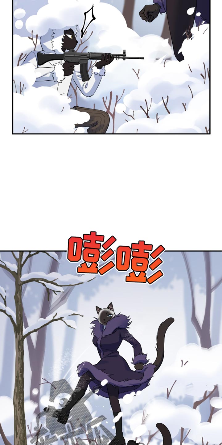 灵猫欧米伽免费阅读漫画,第147话1图