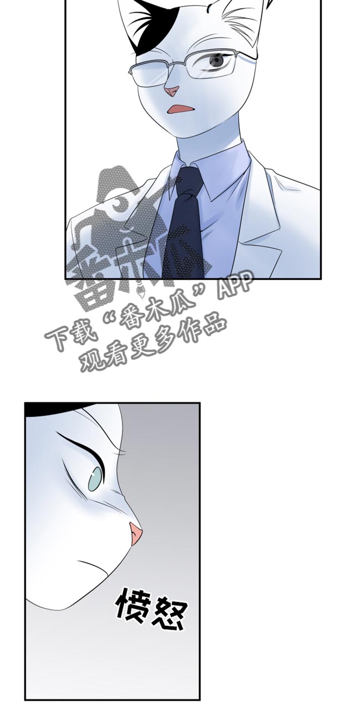 灵猫欧米伽视频漫画,第121话2图