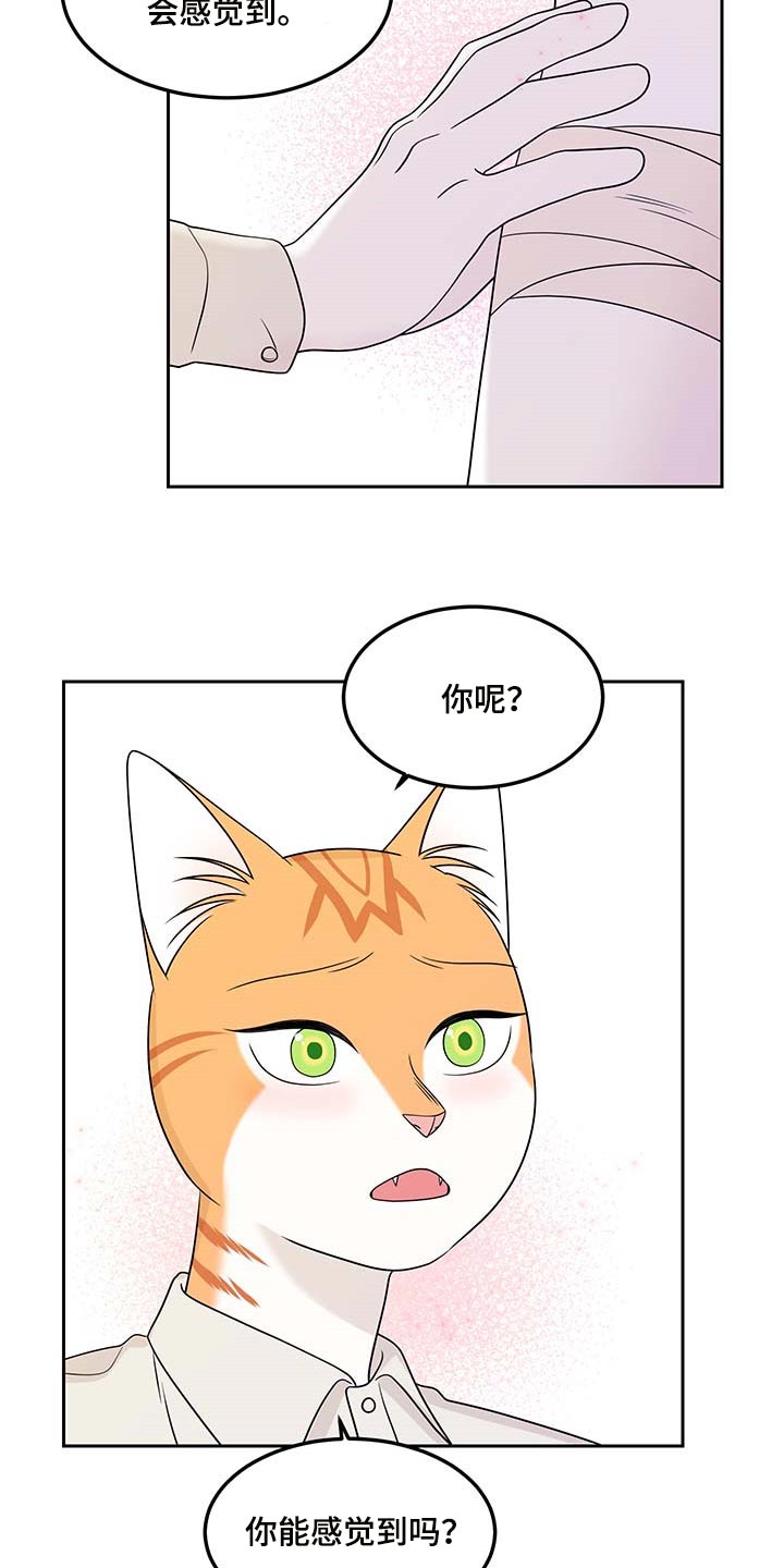 欧米伽3对猫的作用漫画,第46话1图