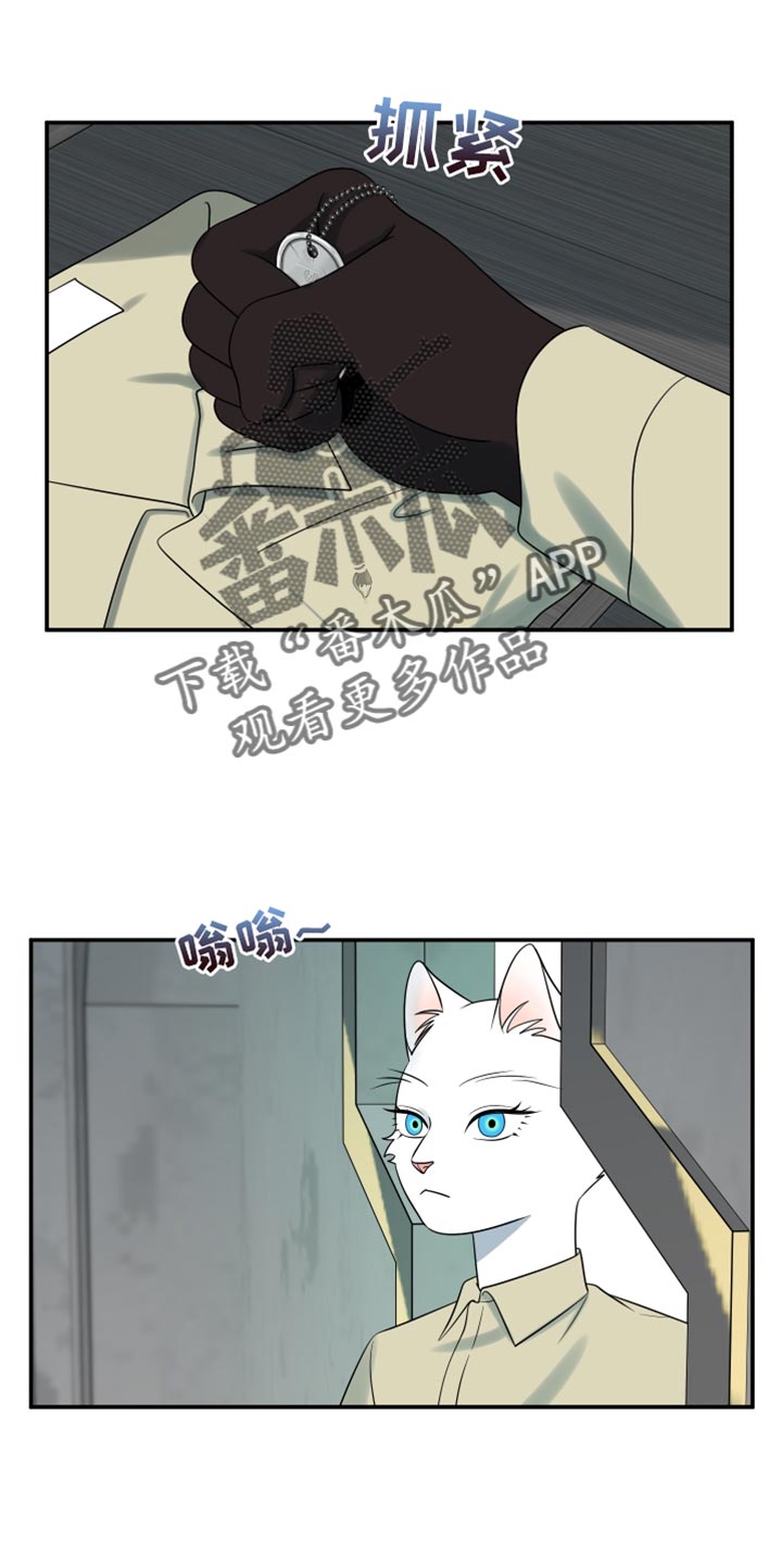 灵猫欧米伽2漫画,第152话1图