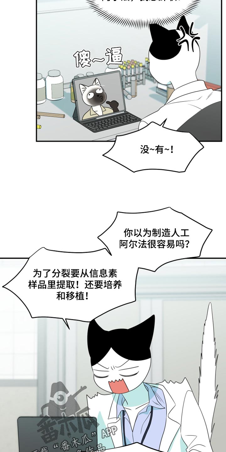 灵猫欧米伽第三季什么时候出漫画,第57话1图