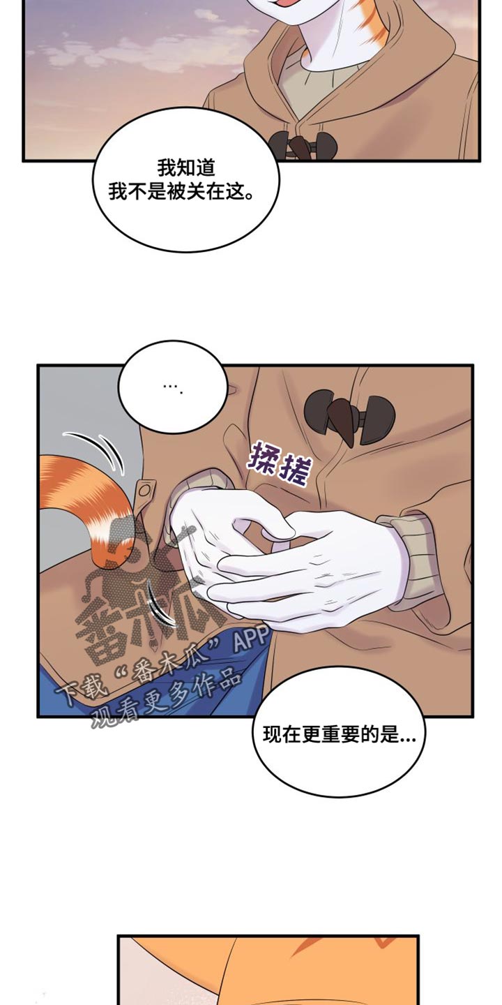 灵猫欧米伽在哪里免费看漫画,第104话1图