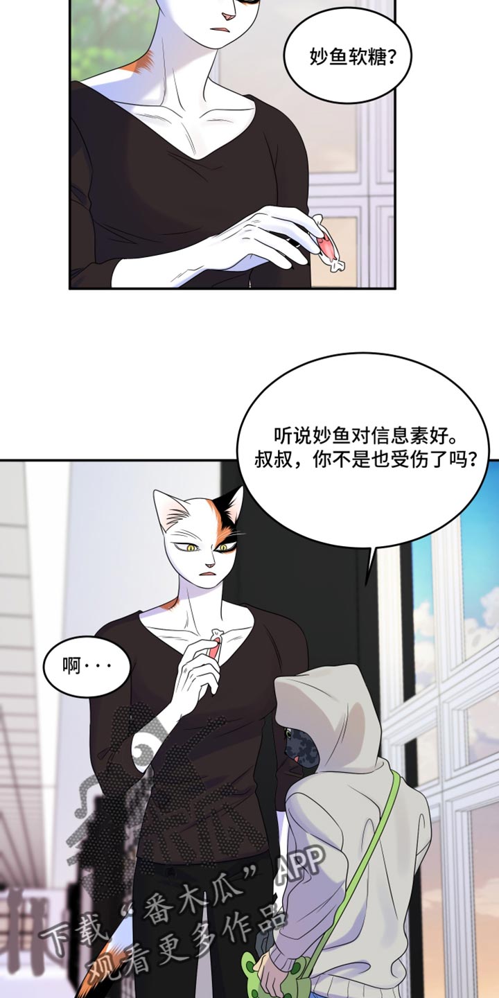 灵猫欧米伽是双男主吗漫画,第115话2图