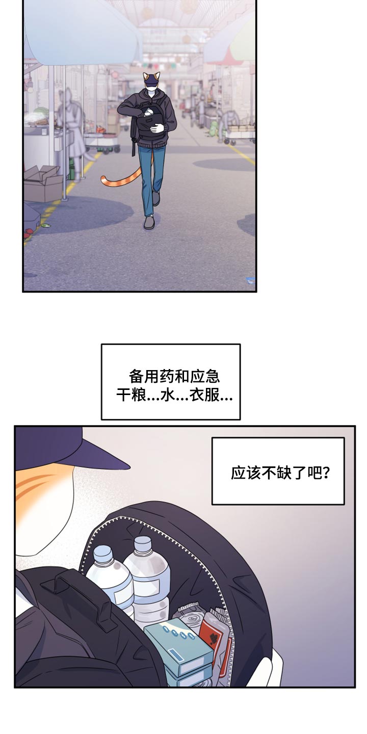 灵猫欧米伽是什么意思漫画,第56话2图