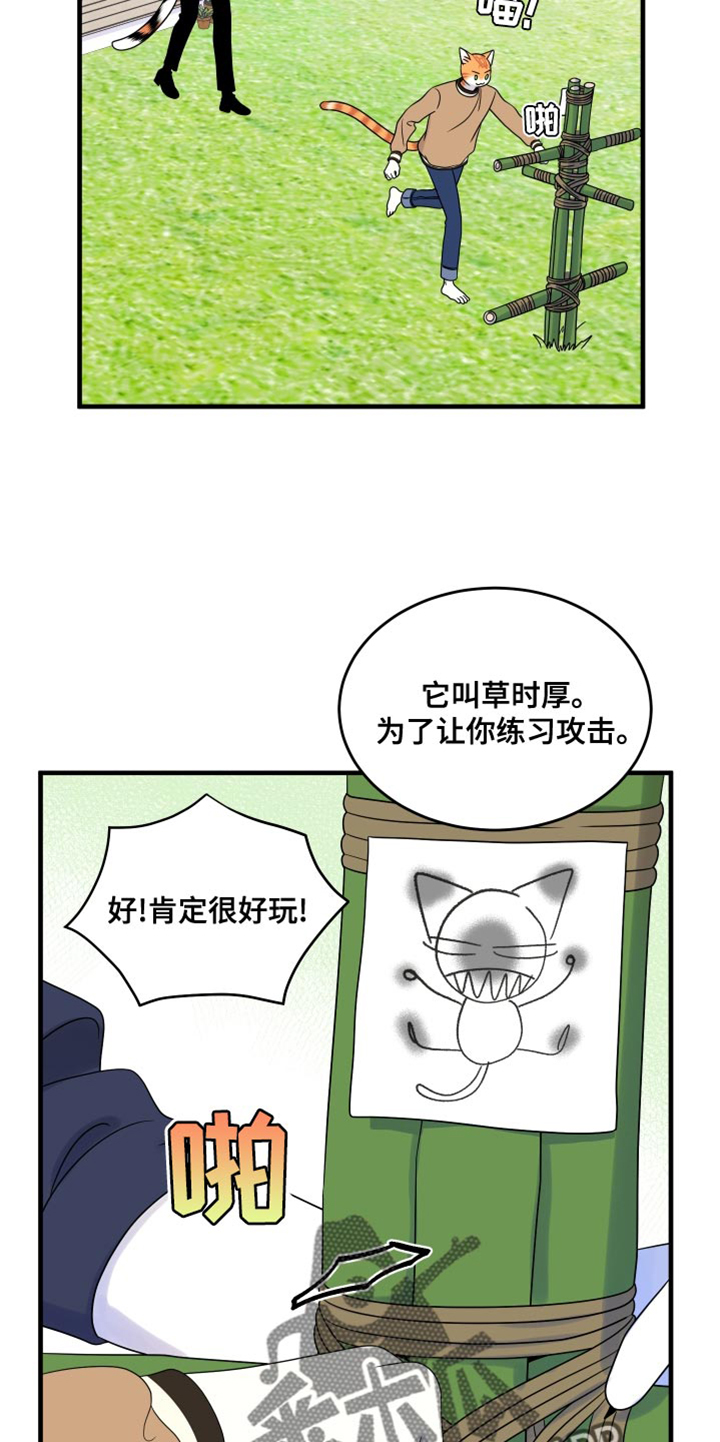 灵猫欧米茄画涯漫画,第98话1图