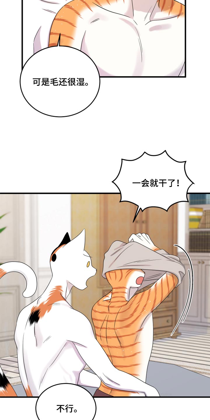 灵猫欧米伽漫画,第90话1图
