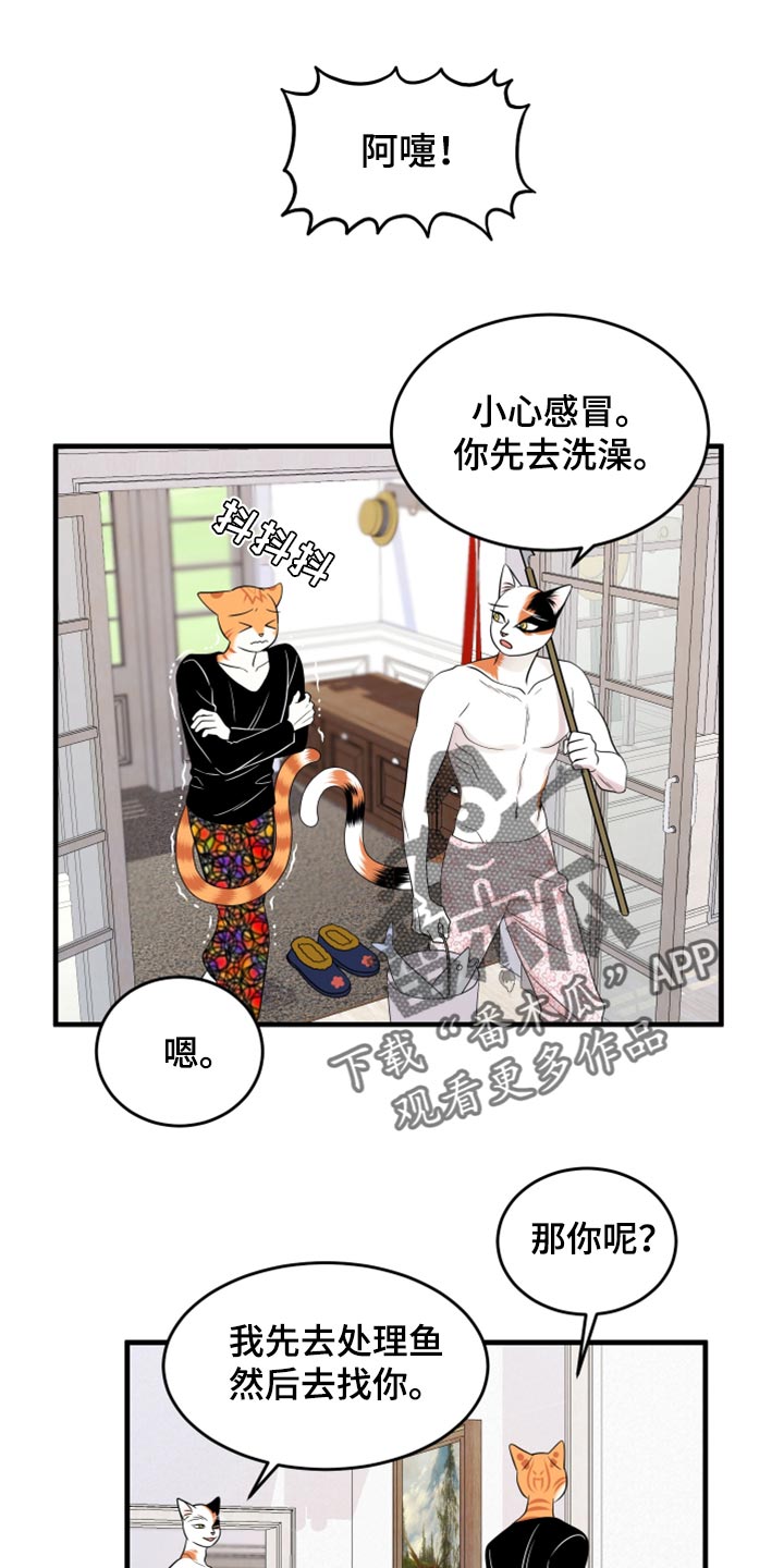 漫画灵猫欧米伽漫画,第69话1图