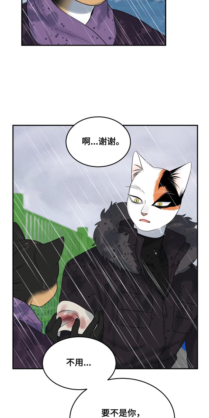 灵猫小说漫画,第113话1图