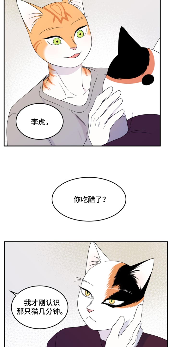 灵猫欧米伽免费阅读漫画,第55话2图