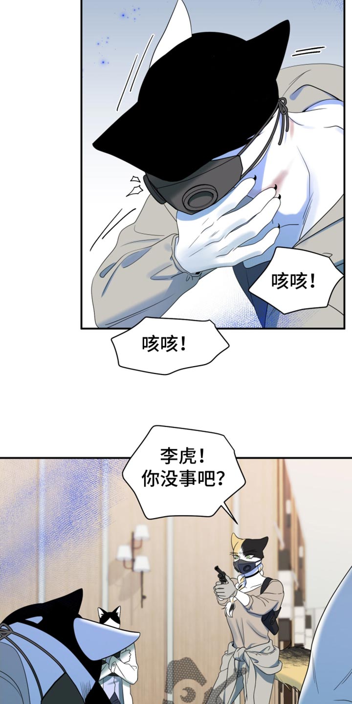 灵猫欧米伽在线免费看漫画漫画,第129话1图