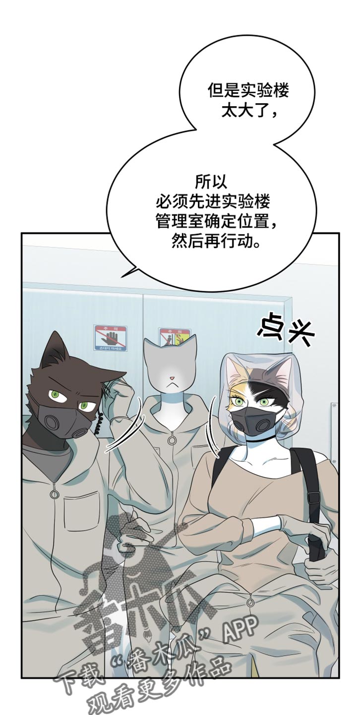 灵猫欧米伽第三季什么时候出漫画,第124话1图