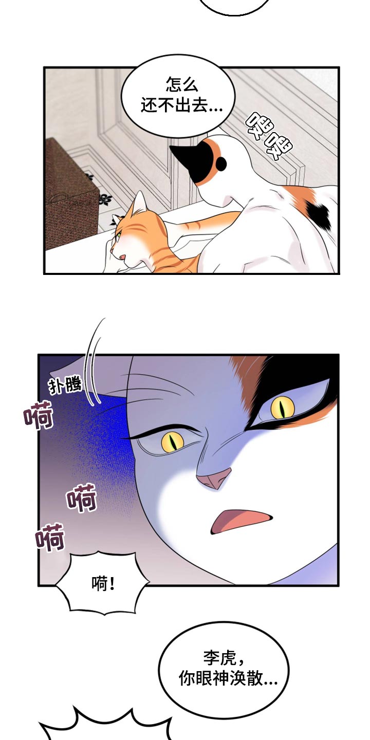 灵猫欧米伽合集漫画,第72话2图