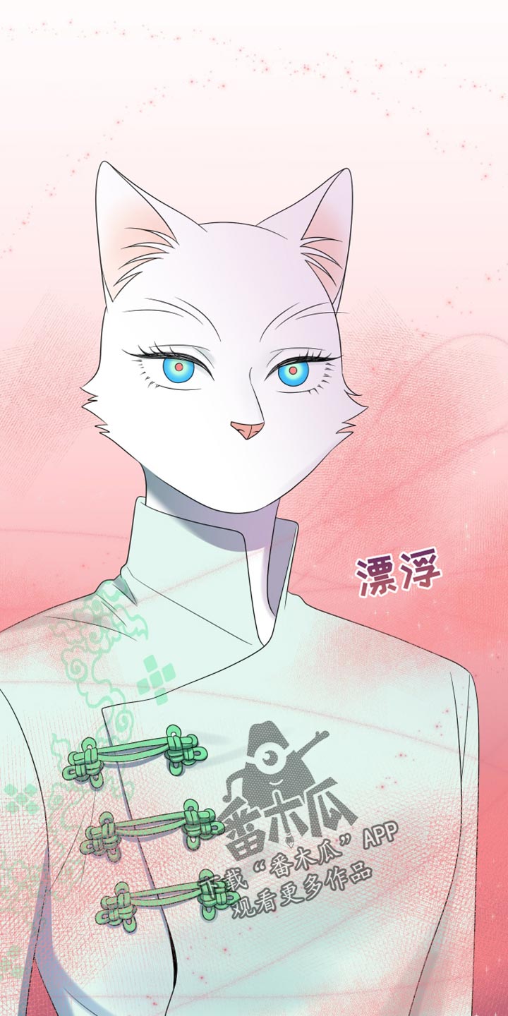 灵猫欧米伽第三季156章漫画,第119话1图