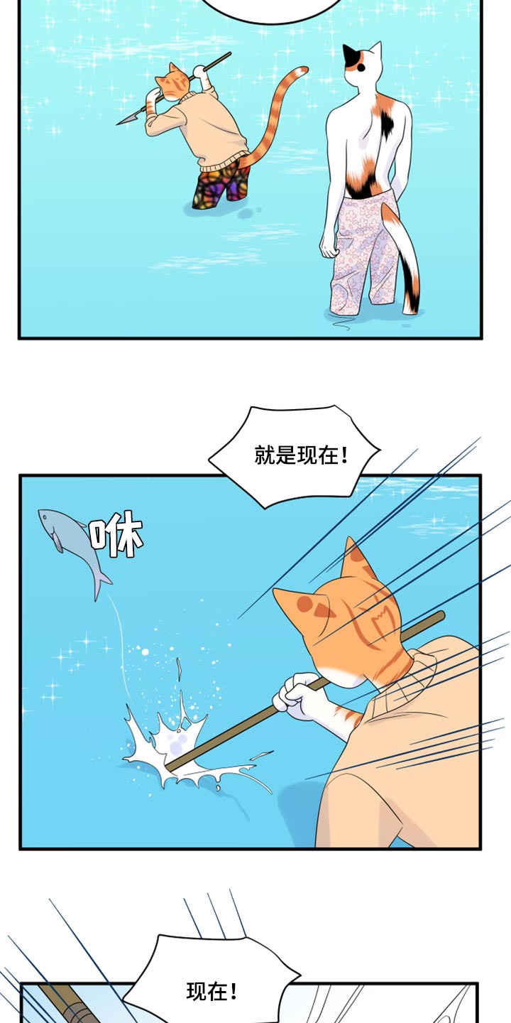 灵猫欧米伽免费漫画,第68话1图