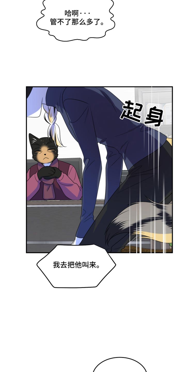 灵猫传下载漫画,第116话2图