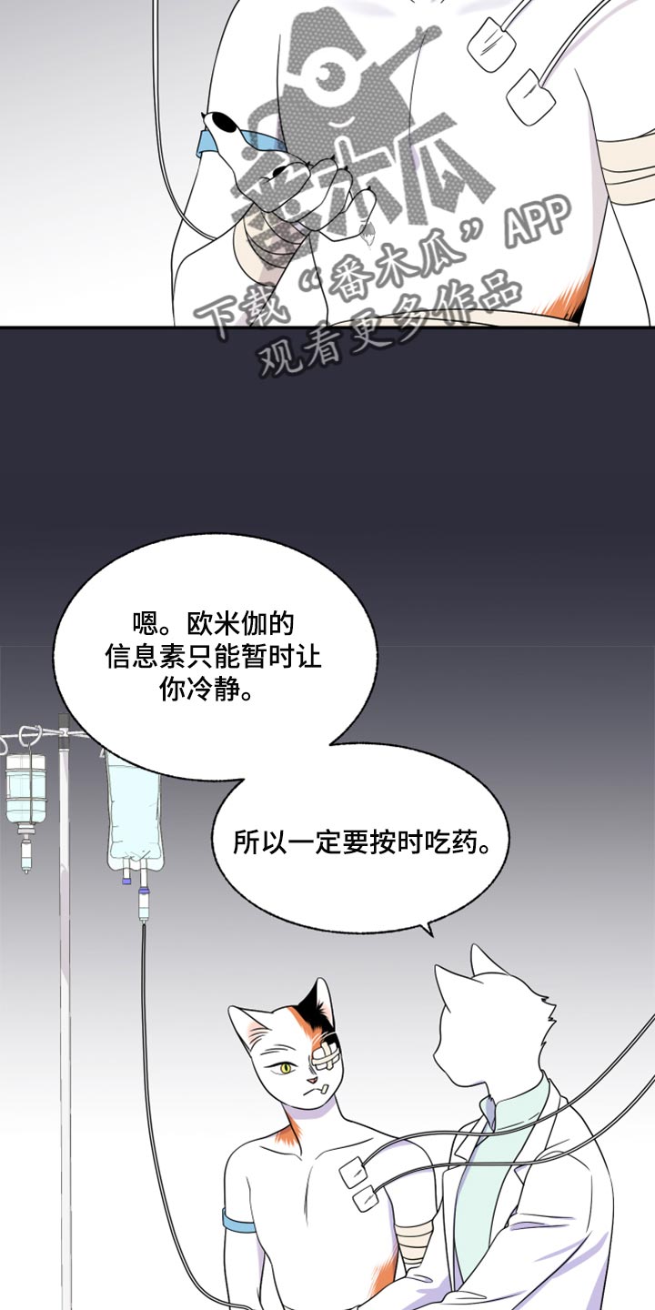 欧米伽3对猫的作用漫画,第52话1图