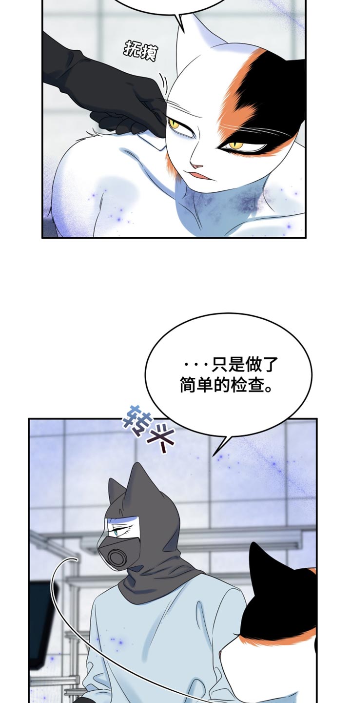 漫画灵猫欧米伽漫画,第163话1图