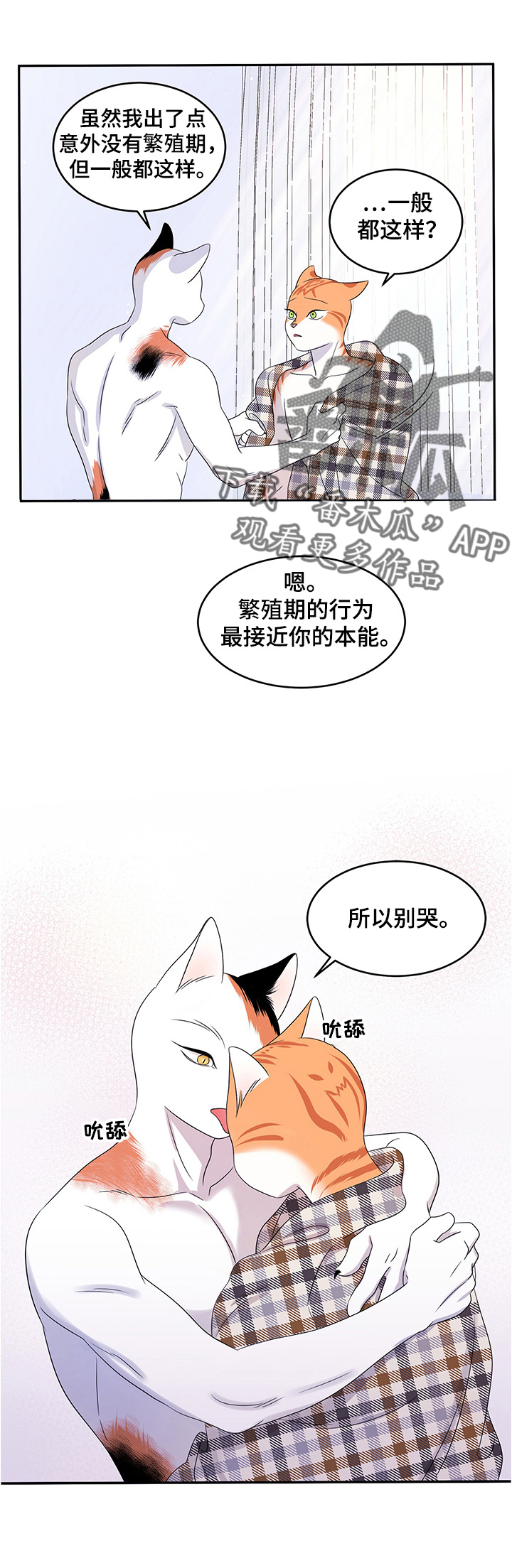 灵猫欧米伽未删减版漫画,第8话2图