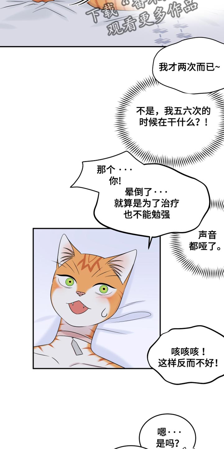 灵猫欧米伽漫画免费观看漫画,第168话2图