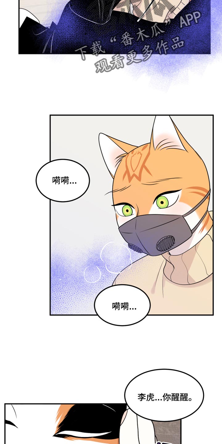 灵猫欧米伽漫画全集免费观看漫画,第51话1图