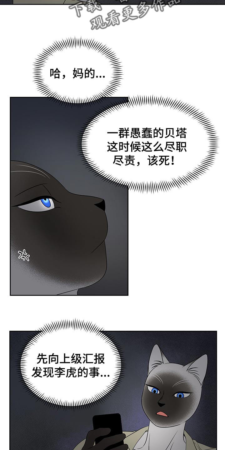 灵猫欧米伽免费版在哪里看漫画,第40话1图