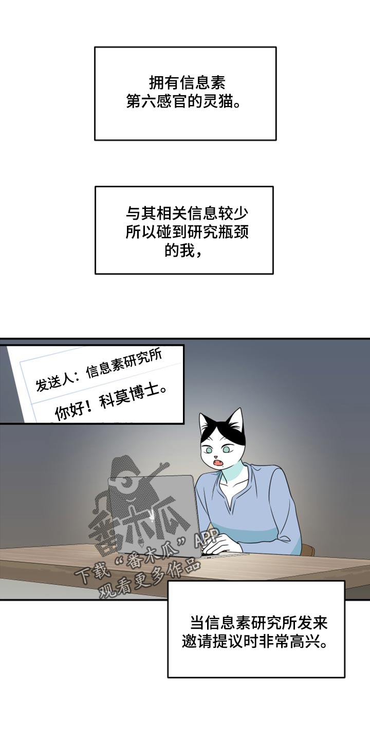 灵猫欧米伽是什么意思漫画,第57话1图