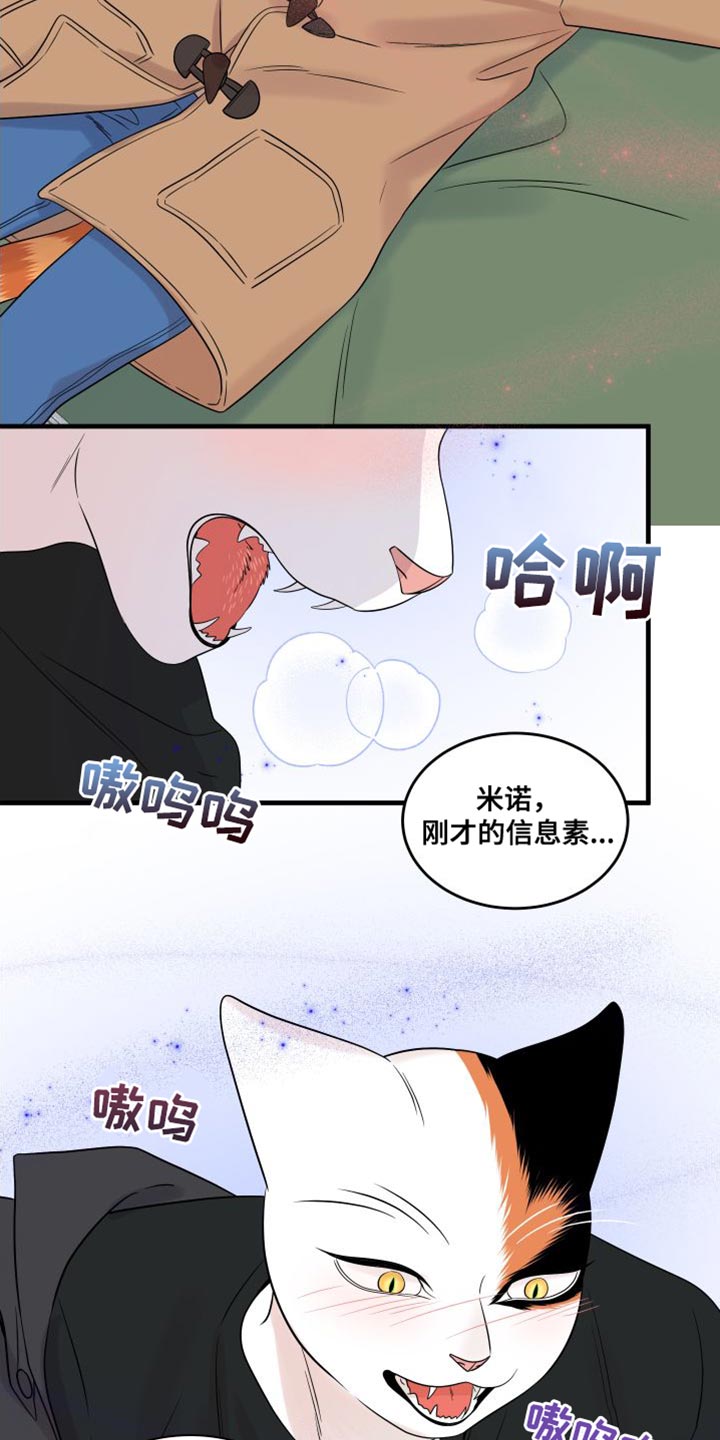灵猫欧米伽免费漫画,第104话1图