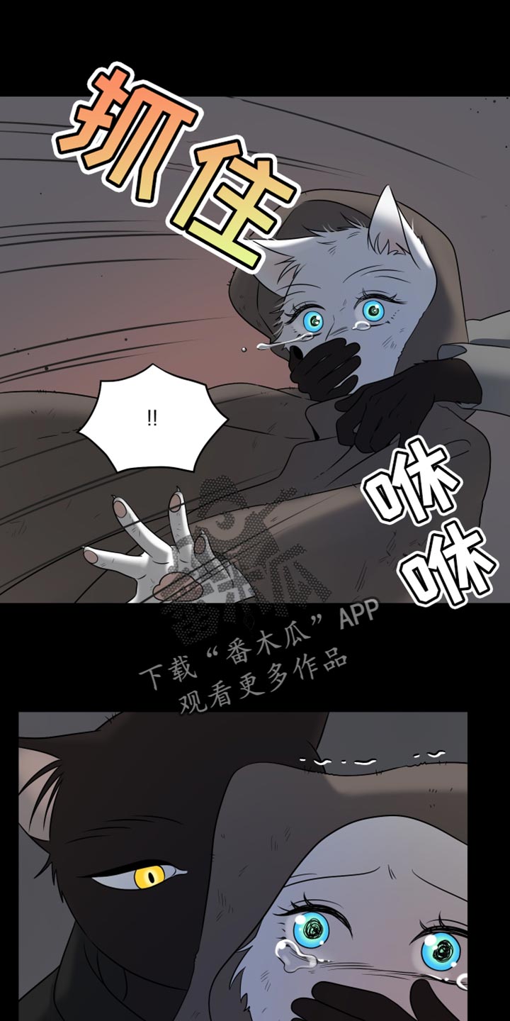 灵猫欧米伽漫画作者漫画,第136话1图