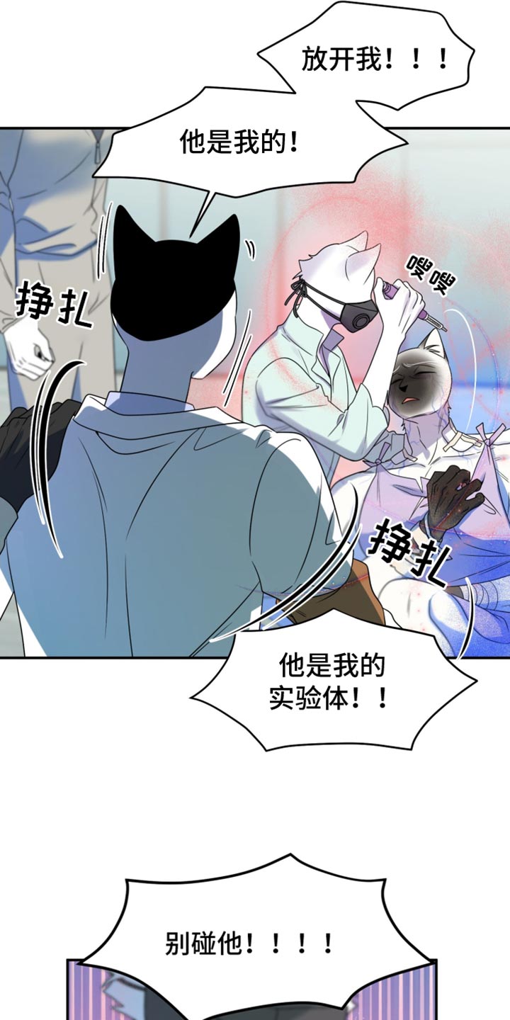 灵猫欧米伽合集漫画,第131话2图
