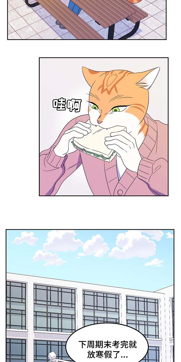 灵猫欧米伽什么时候更新第三季漫画,第41话1图