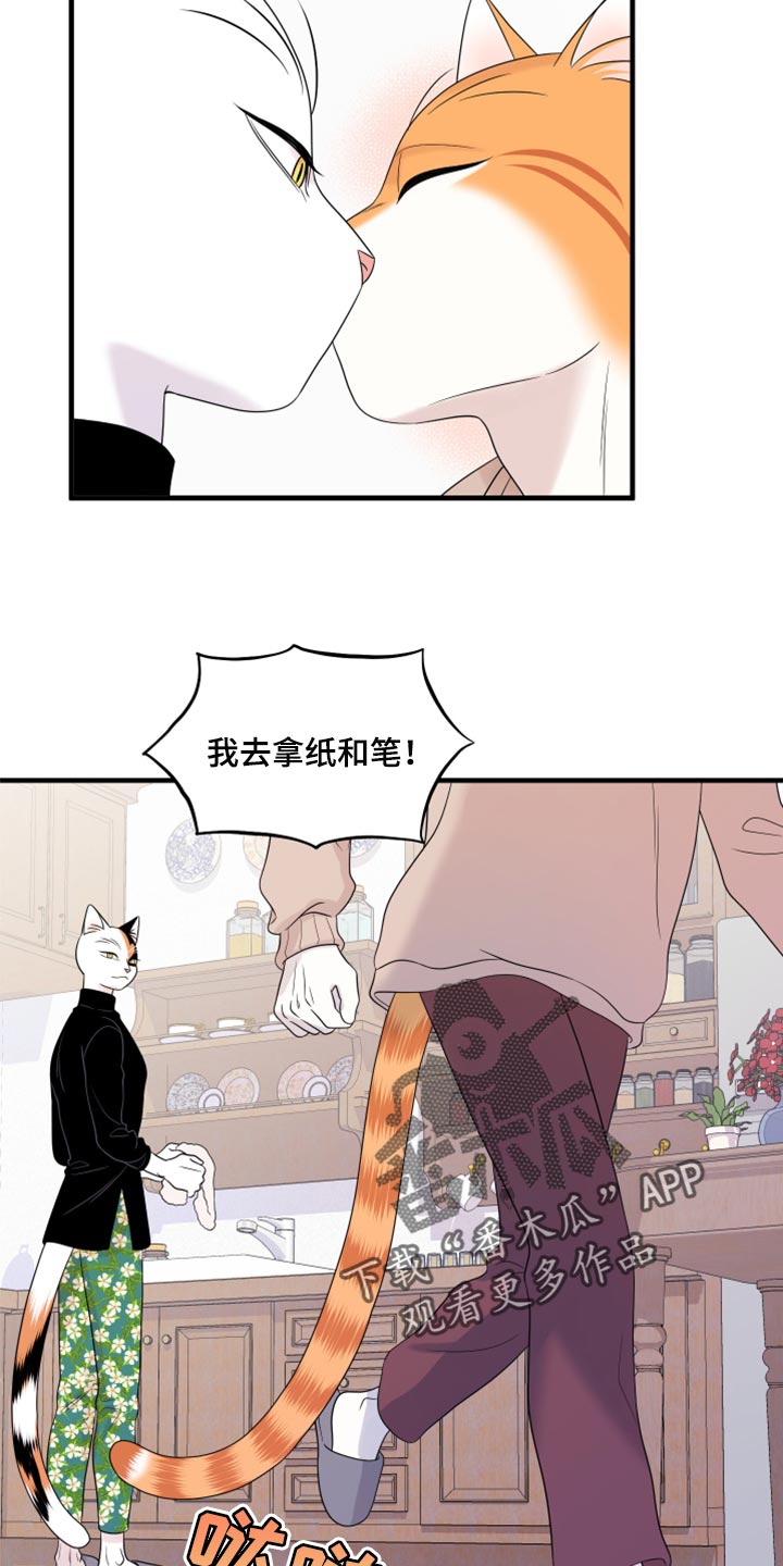 灵猫欧米伽最新话漫画,第74话2图